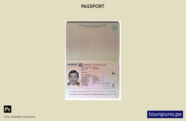 listo para imprimir la plantilla de pasaporte de Singapur ()